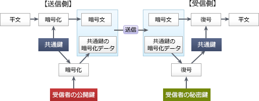31.png/image-size:513×201