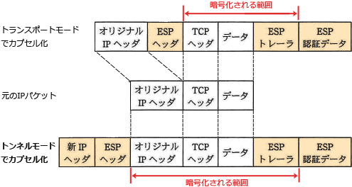 08a.png/image-size:495×264